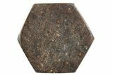 Stony Chondrite Cabochon ( grams) - Meteorite #238185-1